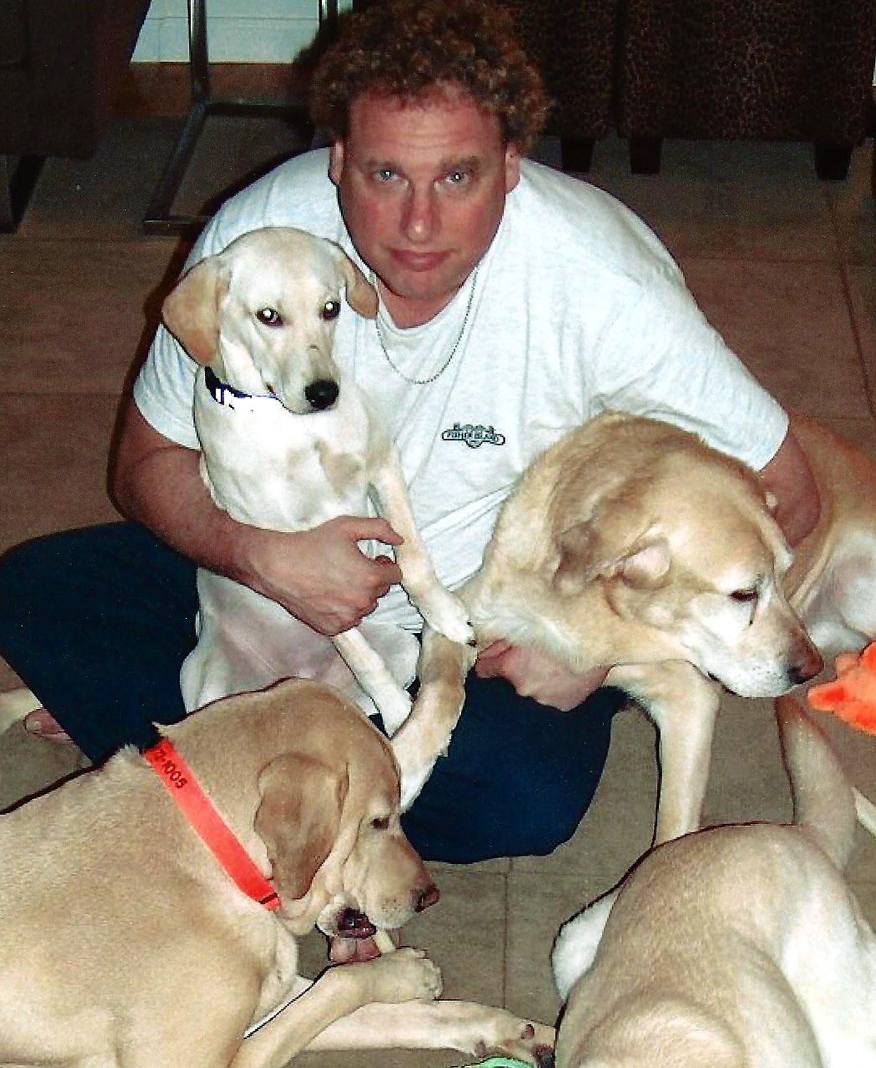 New York Yankees president Randy Levine poses with Labrador retrievers.  Mitch
