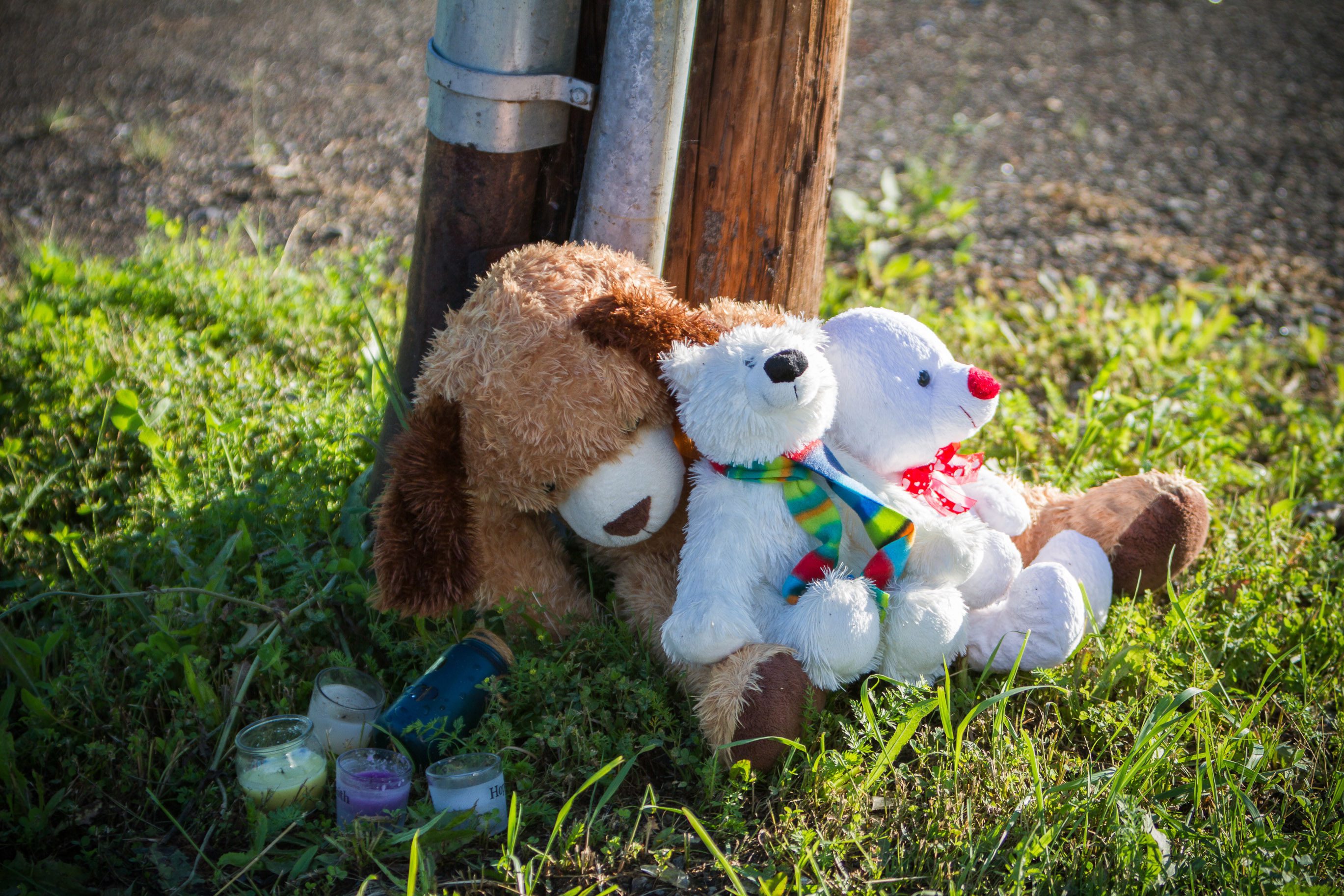 A memorial sits outside the Reptile Ocean exotic pet store in Campbellton