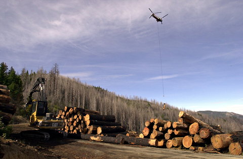 A helicopter ferrying a log to a log landing in the Rogue River-Siskiyou National Forest near Selma