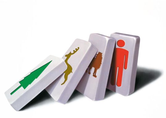 Designers for the Earth