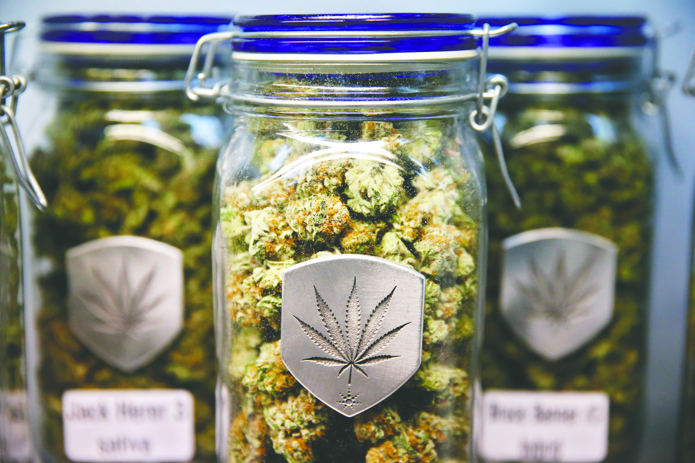 Different strains of pot are displayed for sale at Medicine Man marijuana dispensary in Denver. Medicine Man was among the first batch of Denver businesses to receive their licenses to legally sell recreational marijuana. The Associated Press