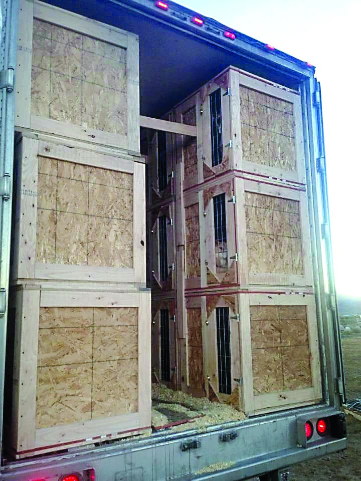A photo on the Guardians of Rescue Facebook page shows crates in the back of a truck. An animal can be seen peering from within a crate. Guardians of Rescue