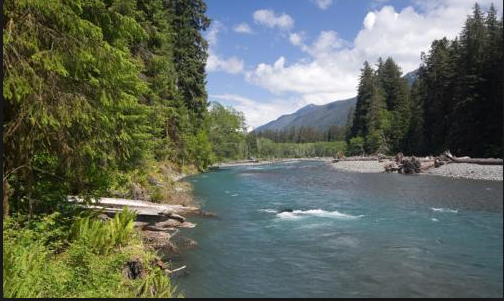 Hoh River in Olympic National Park