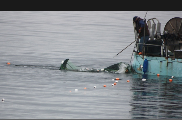 After a tense rescue effort