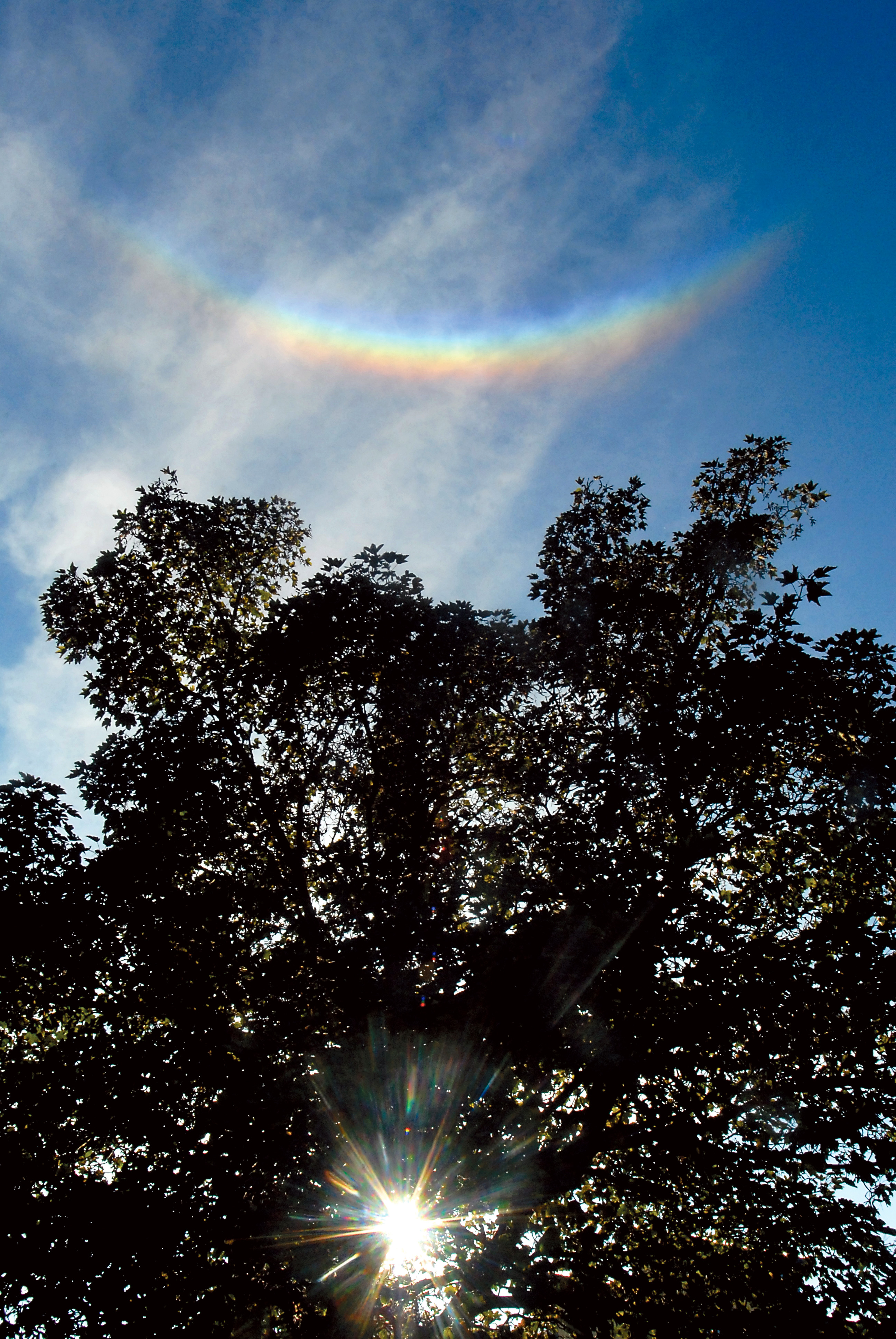 (Click on photo to enlarge)