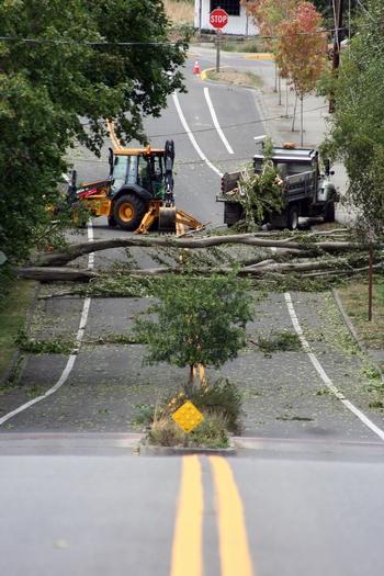 Crews work to clear a downed tree at the bottom of F Street in Port Townsend after last August's windstorm. Rod Hodlik