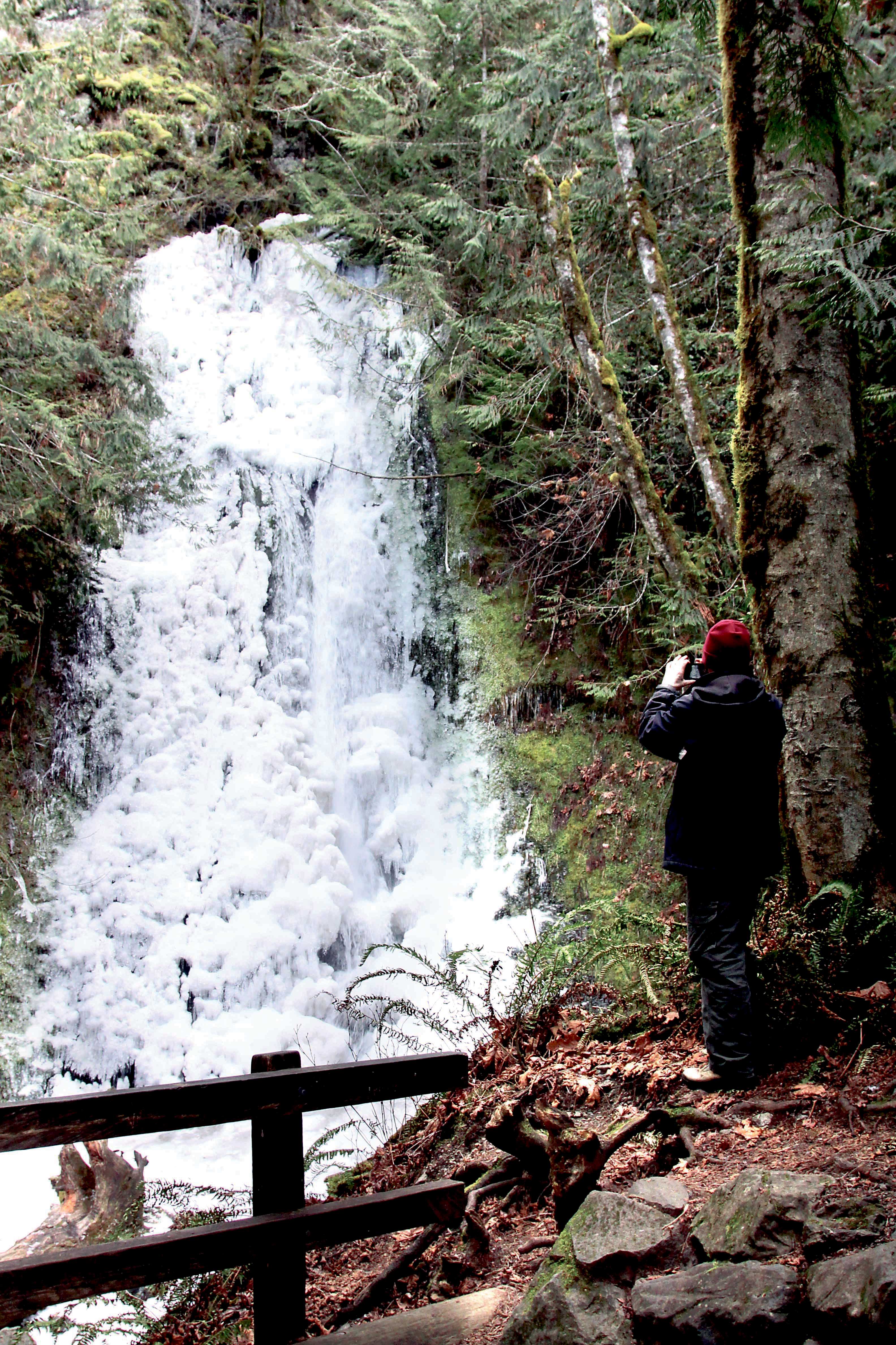 Click on photo to enlarge. Dave Logan/for Peninsula Daily News