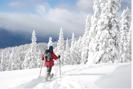 Cross-country skier at Hurricane Ridge Olympic National Park file photo