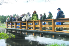 During a farm tour the Washington State Conservation Commission  stopped at the Spring Rain Farm and Orchard in Chimacum where they inspected a bridge that was constructed out of an old railway boxcar. Charlie Bermant/Peninsula Daily News