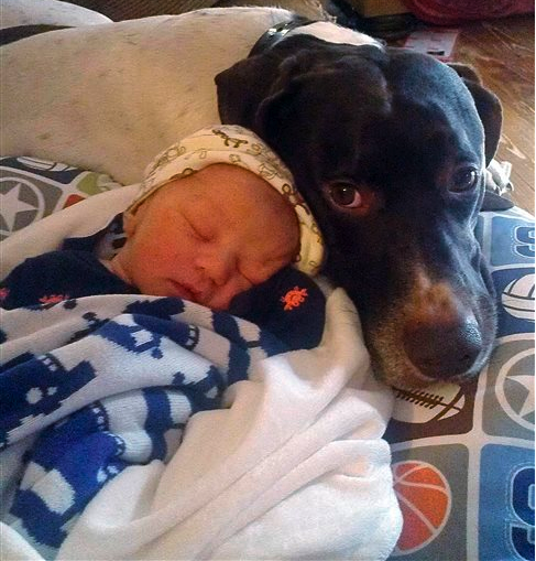 Taken before the mudslide