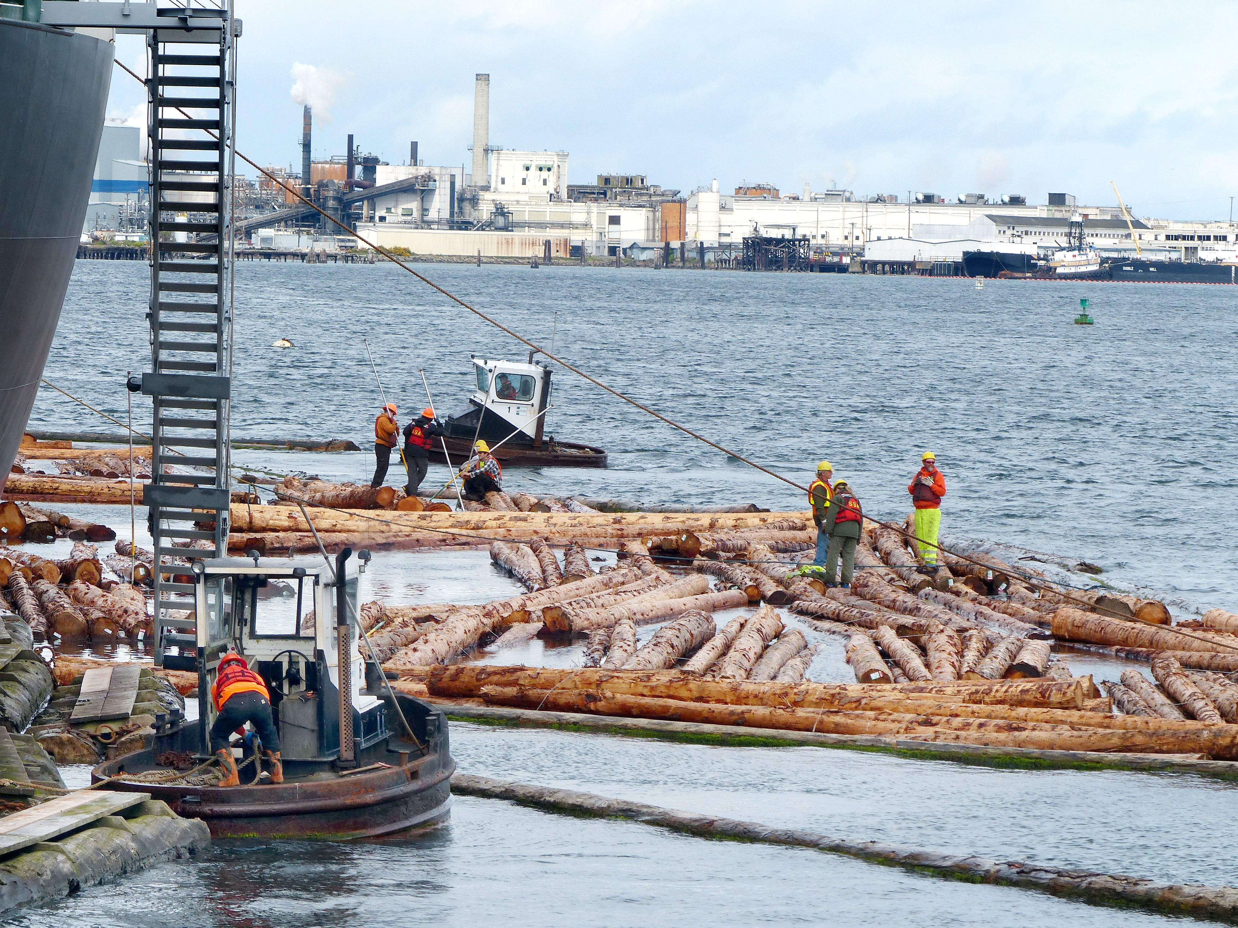 Log loading from the water side of the Bunun Ace was the only action allowed — none from shore side — during the 12-hour visit of the nearby cruise ship Oosterdam on Friday. —Photo by David G. Sellars/for Peninsula Daily News