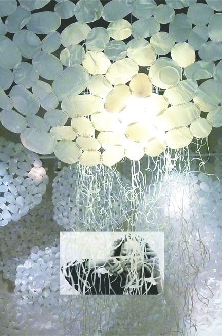 Barbara De Pirro of Shelton in inset assembles “Lucid