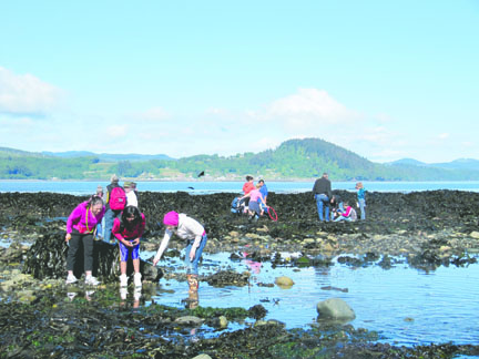 A group of unidentified children explores a tide pool at Clallam Bay in September 2011. Jacqueline Laverdure/Olympic Coast National Marine Sanctuary