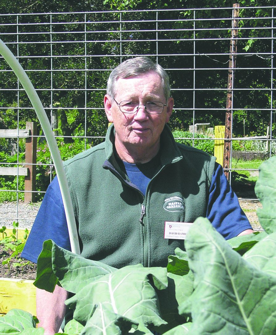 WSU Clallam County Master Gardener David Rambin will present “Planting Now for Fall and Winter Harvest” at noon Thursday