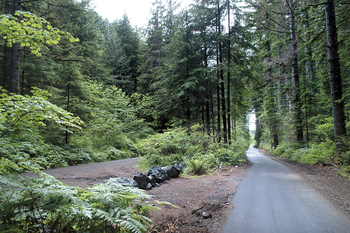 The Olympic Discovery Trail follows an abandoned railroad grade through the Sol Duc Valley. Rob Ollikainen/Peninsula Daily News