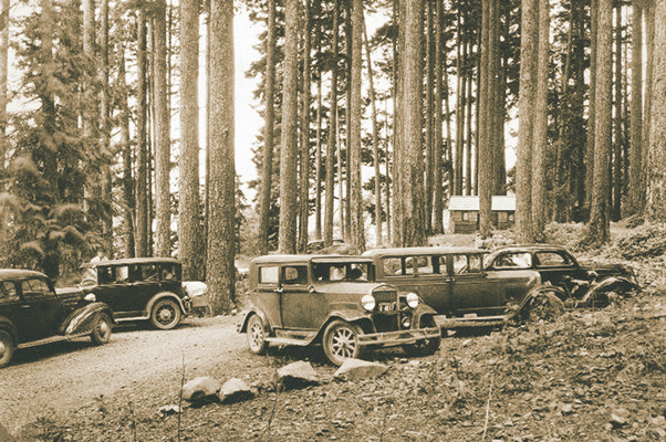 Visitors park at the La Poel Forest Camp near Lake Crescent in the mid-1930s. The campground is now a day-use area. U.S. Forest Service