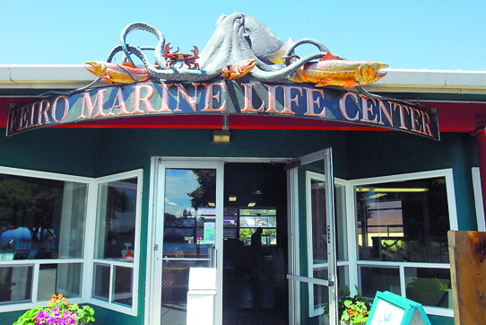 The Feiro Marine Life Center in Port Angeles  is among the signs