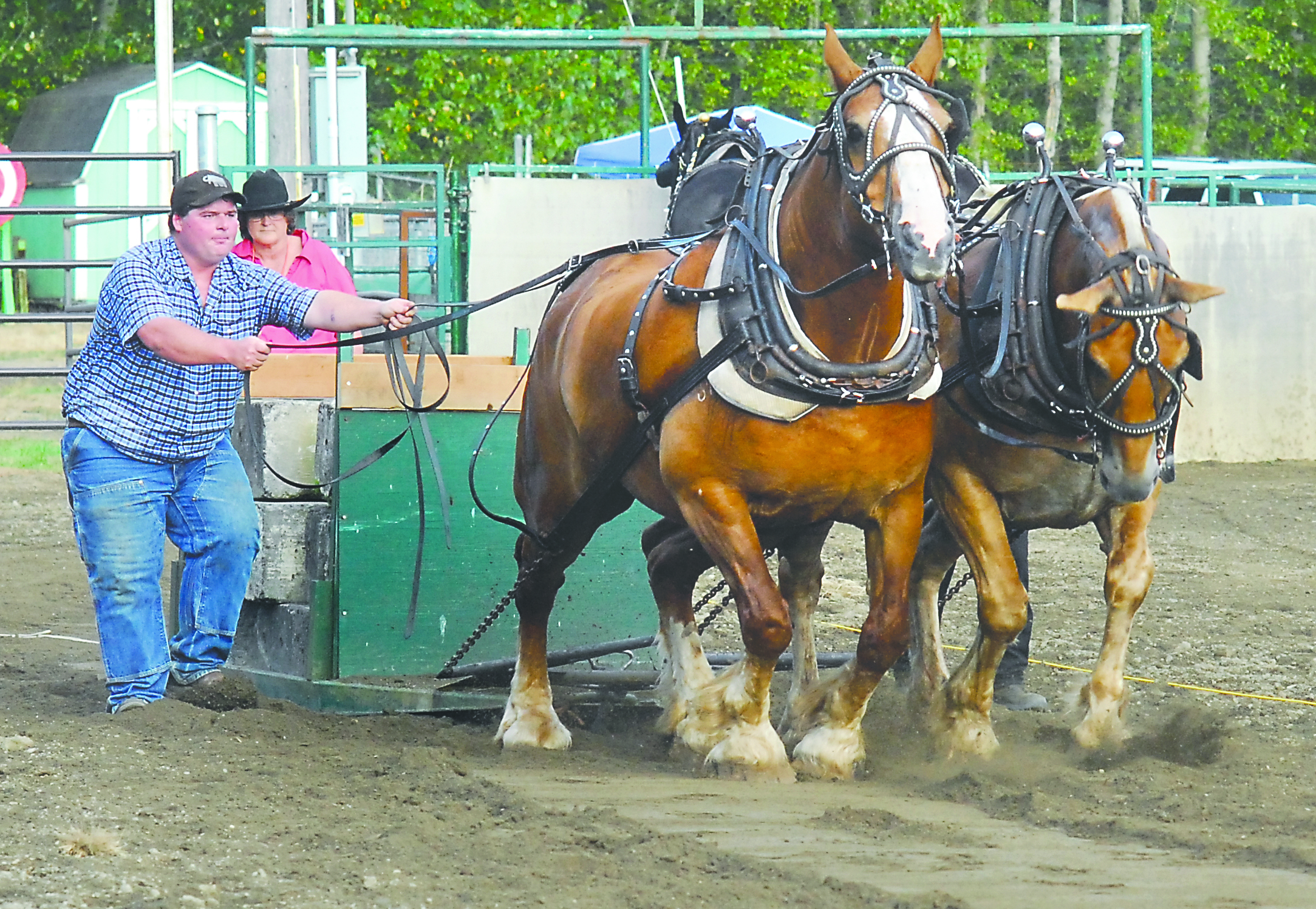 Jerry Lee Jr. of Sandy