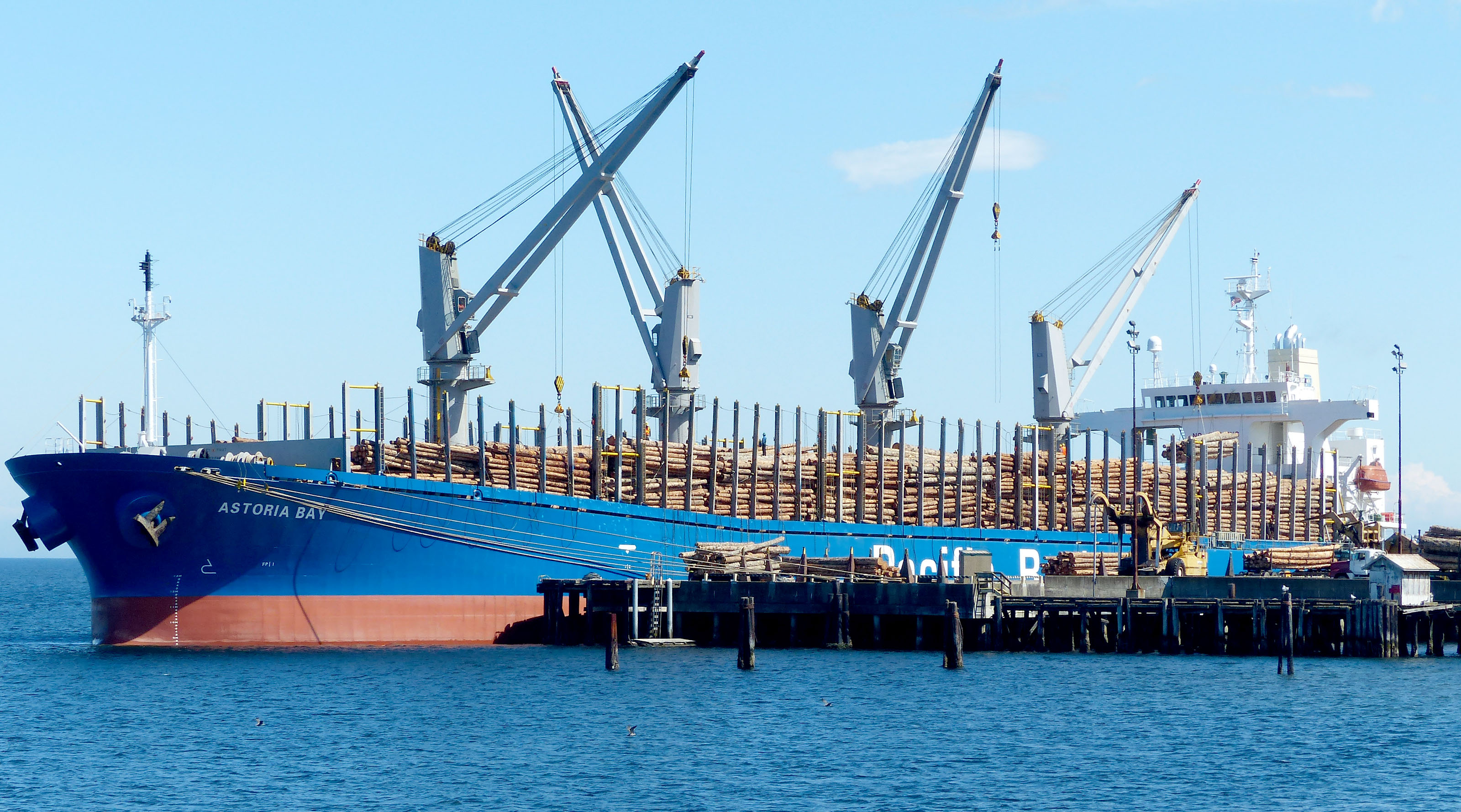 The Astoria Bay moored at Port of Port Angeles Terminal 3 last week. Click on arrow upper right to see her as Dry Beam after a rogue wave shifted her log cargo in 2012 and damaged the ship. David G. Sellars/for Peninsula Daily News