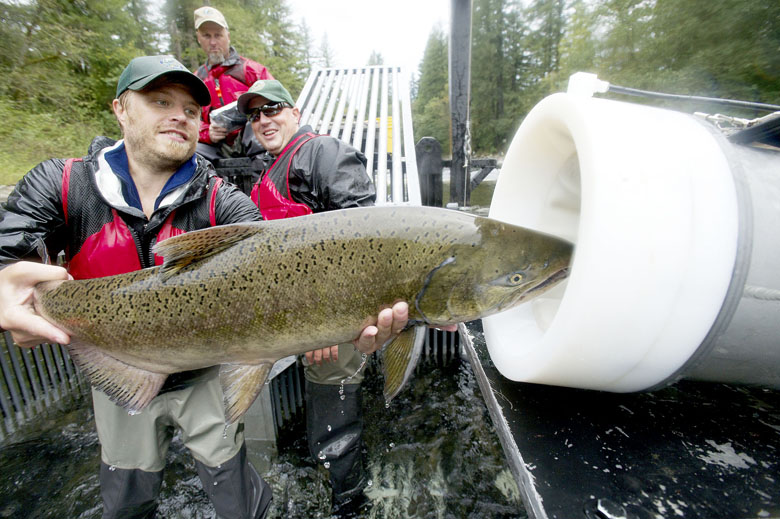 State Department of Fish and Wildlife scientific technician Chris Golden