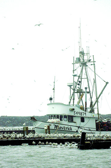 The fishing boat Maverick