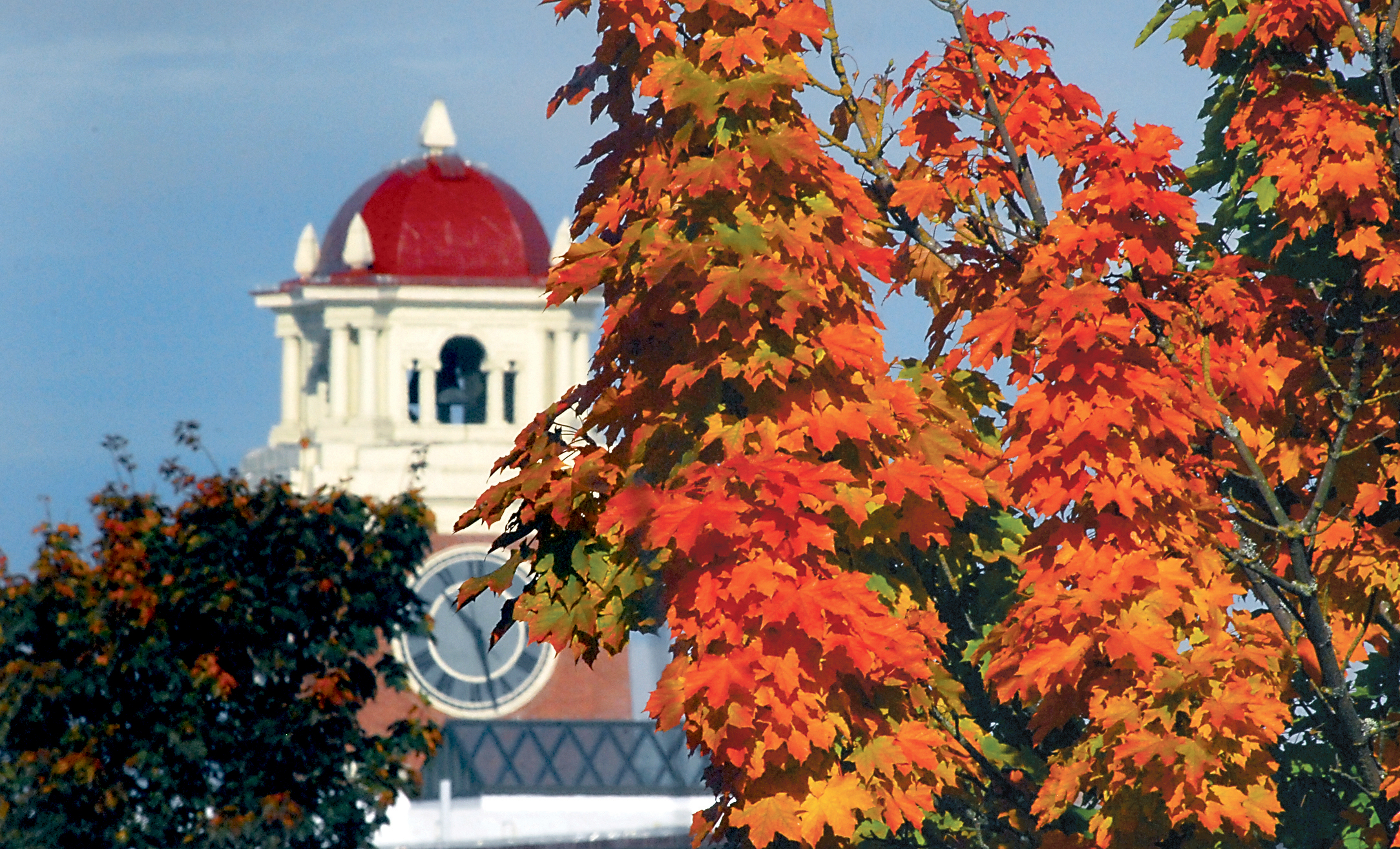 The Clallam County Courthouse clock tower peeks through the trees along Fourth Street in Port Angeles. Keith Thorpe/Peninsula Daily News