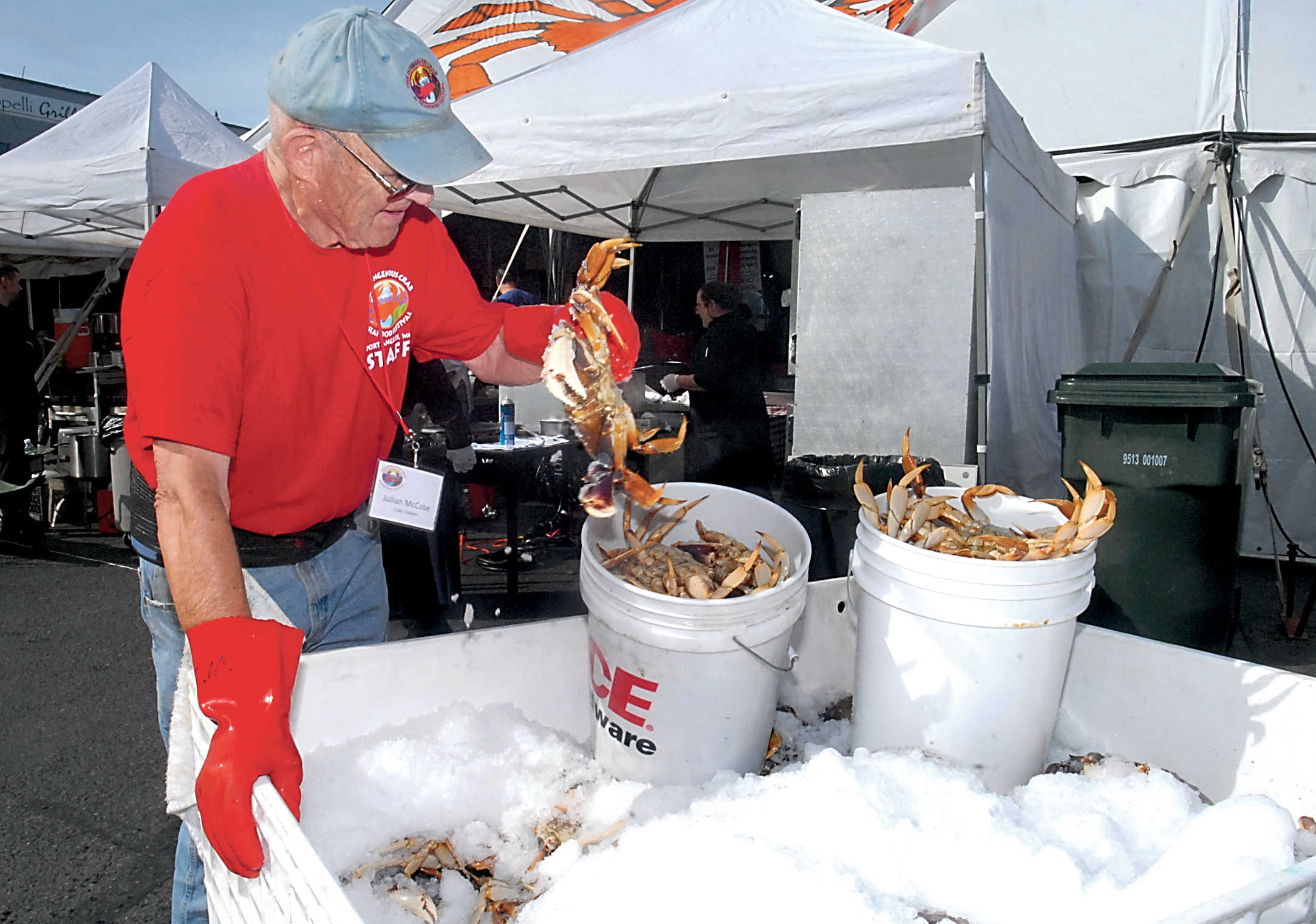 Crab festival volunteer Julian McCabe pulls live crabs from a shipping crate filled with iced-down crustaceans in preparation for cooking behind the main dining tent Friday in Port Angeles. Keith Thorpe/Peninsula Daily News