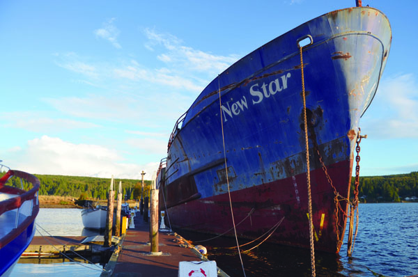 The New Star has been stranded at the Port Ludlow Marina by a customs glitch that held up the Mexican tugboat hired to tow it away. Charlie Bermant/Peninsula Daily News