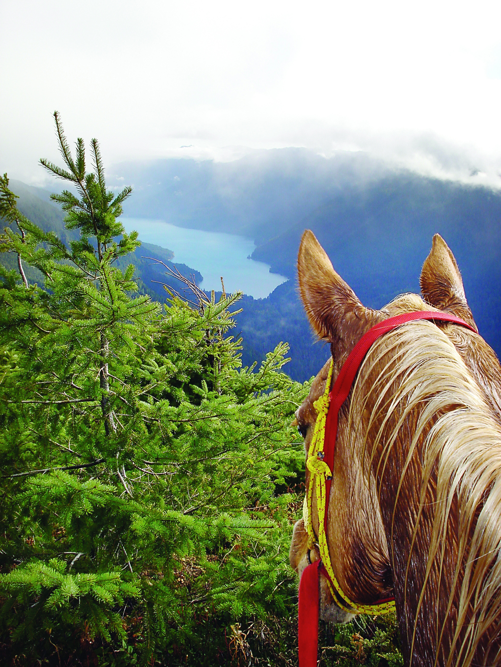 Perched atop Mount Muller