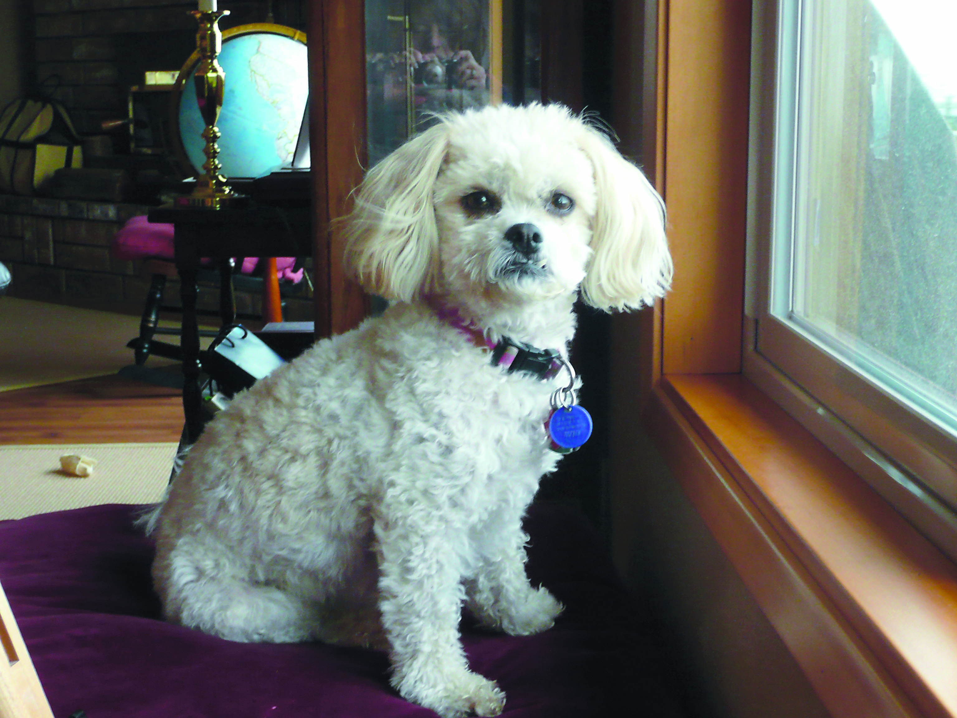 Bella is fine after her adventure last weekend