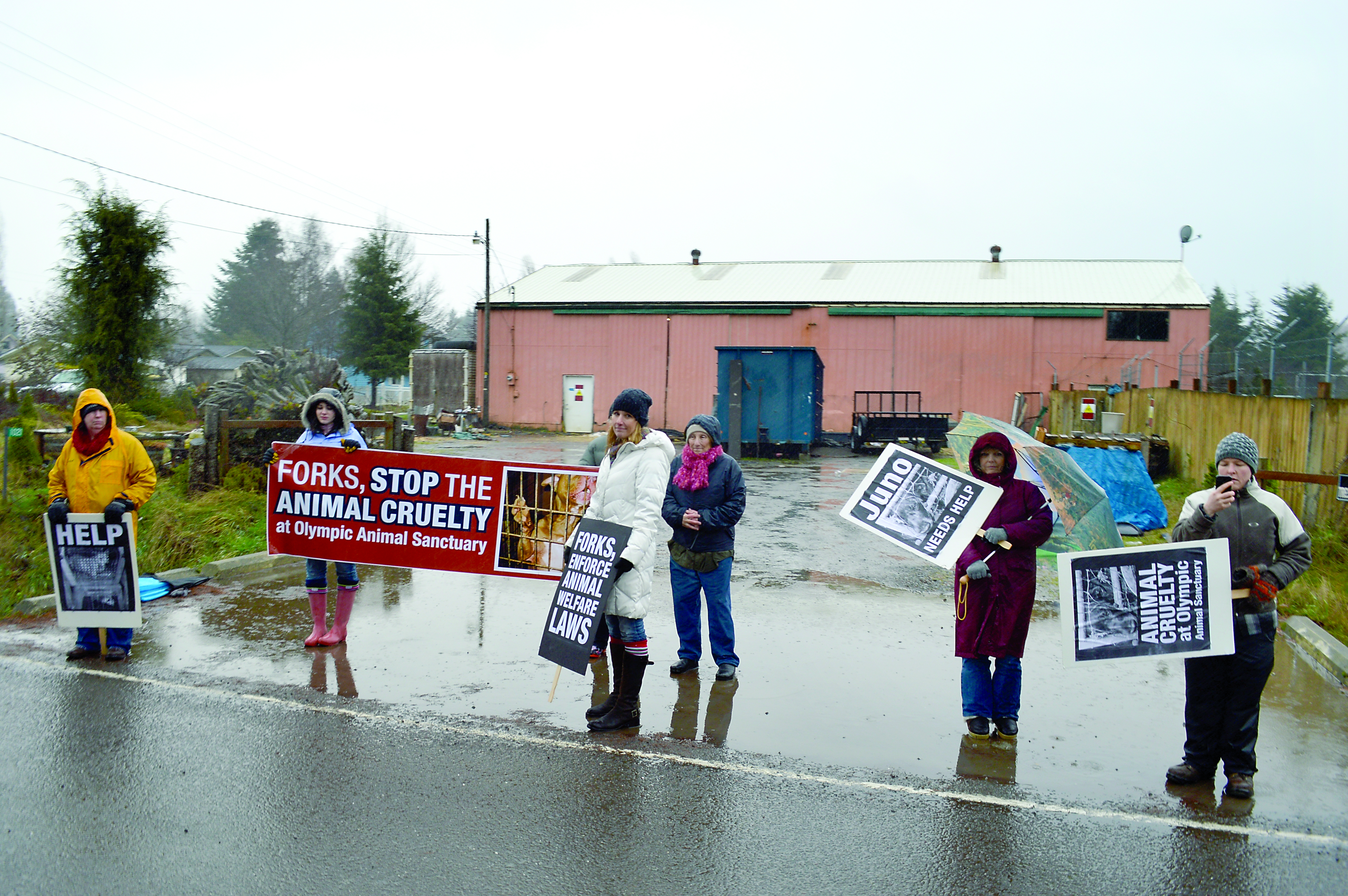 Protesters picket in front of the Olympic Animal Sanctuary in Forks on Dec. 12. The dogs from the shelter would later be hauled from the site in a tractor-trailer. The animals arrived Tuesday at a site near the Arizona-Nevada border. — Joe Smillie/Peninsula Daily News