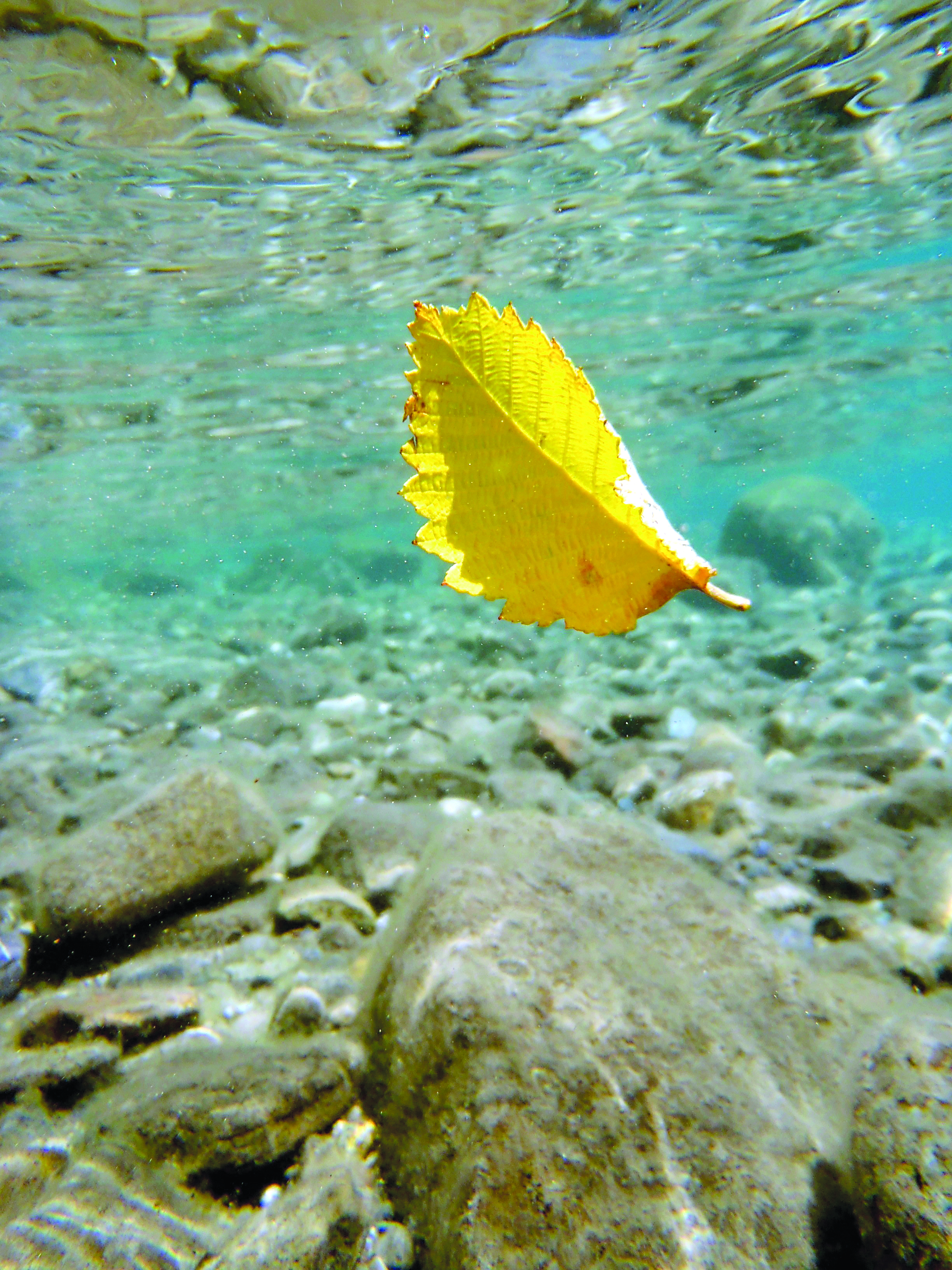 Photography by Kelly Flynn