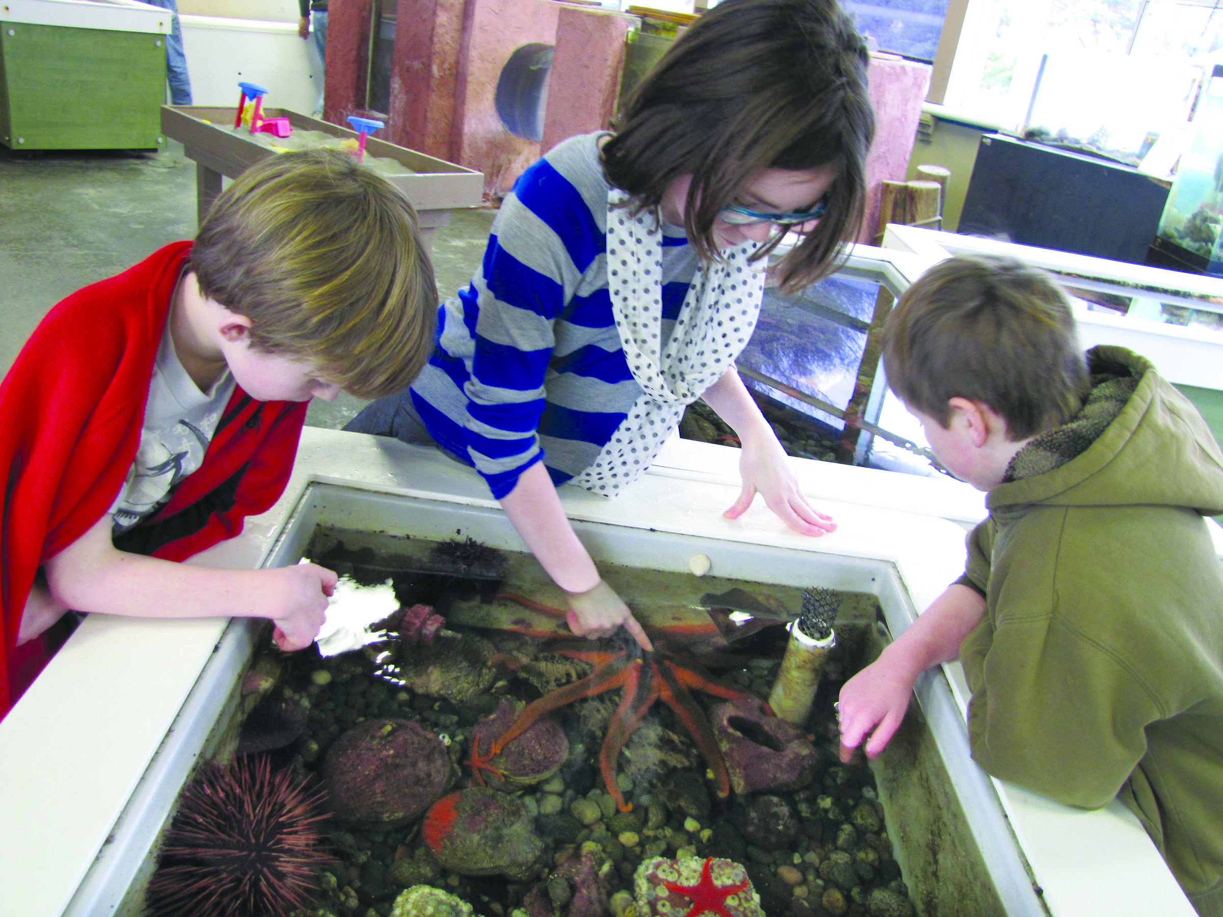 Seattle visitors Asher Seawall