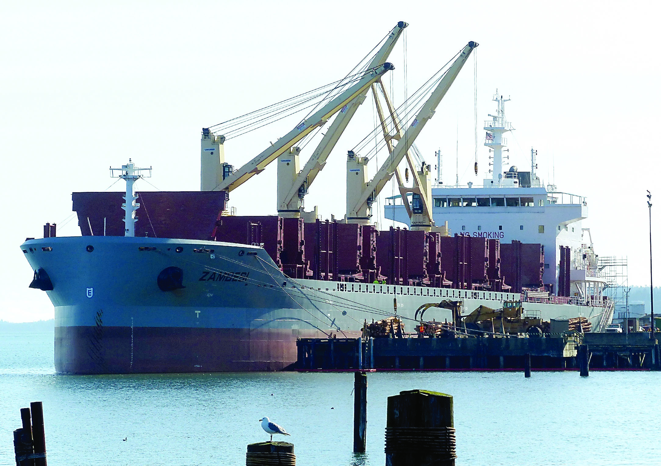 The bulk cargo ship Zambesi as she starts taking on logs Monday morning at the Port of Port Angeles' Terminal 3. David G. Sellars/for Peninsula Daily News