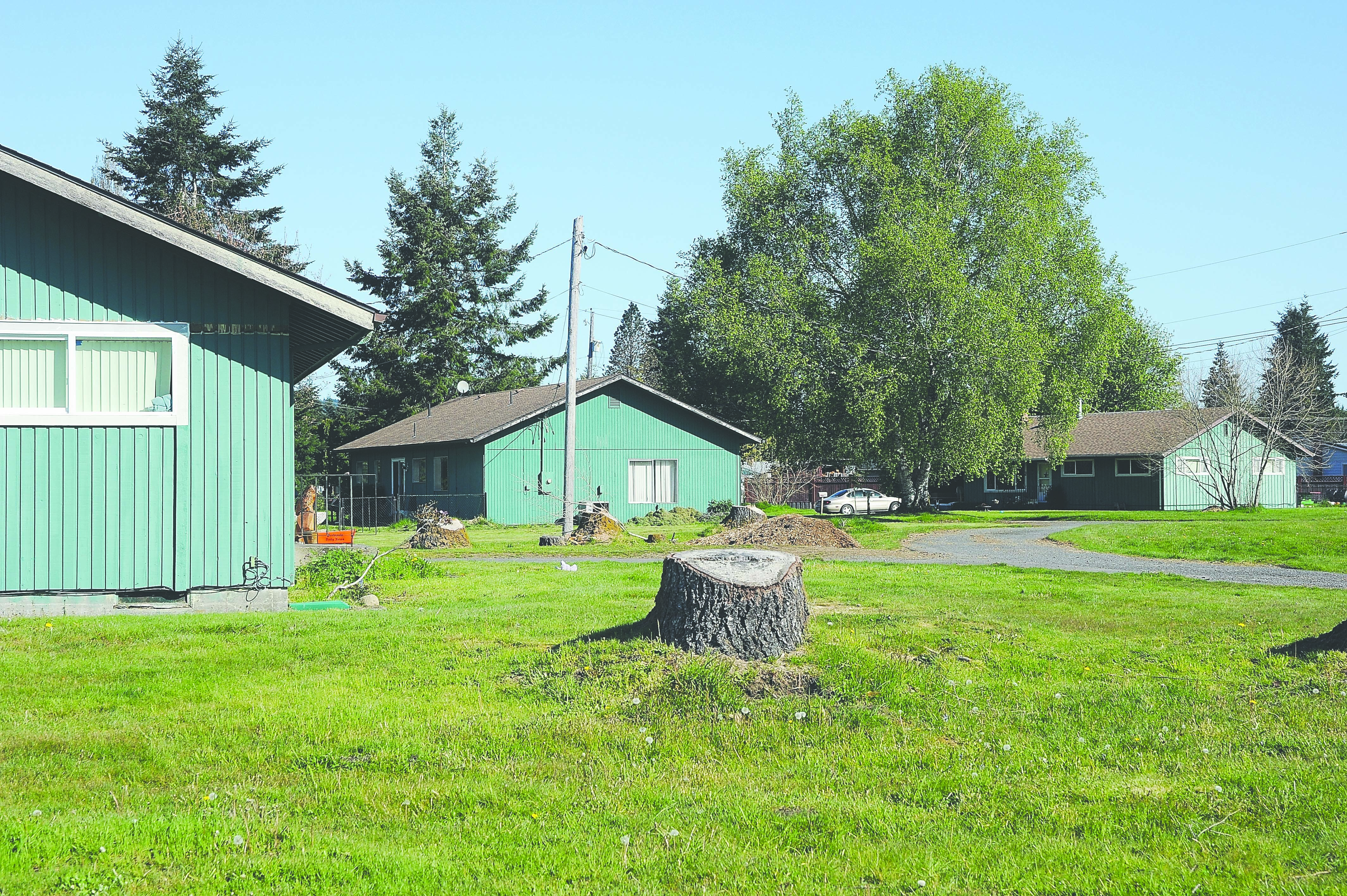 Three of the four rental properties owned by the Quillayute Valley Park and Recreation District.  -- Photo by Lonnie Archibald/for Peninsula Daily News