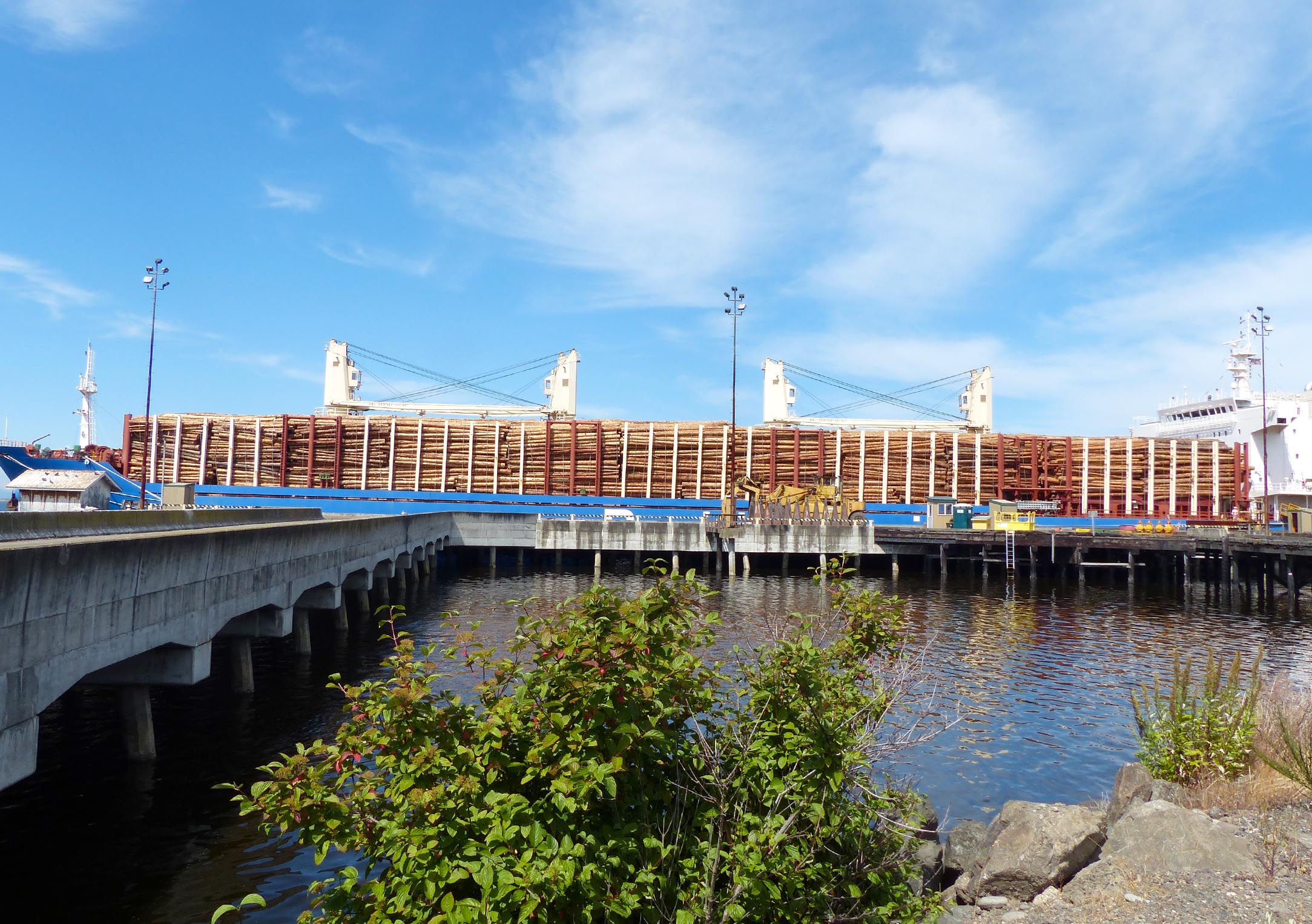 The fully loaded Jamaica Bay prepares to leave Port of Port Angeles Terminal 3 with 5.7 million board feet of logs bound for China. —Photo by David G. Sellars/Peninsula Daily News