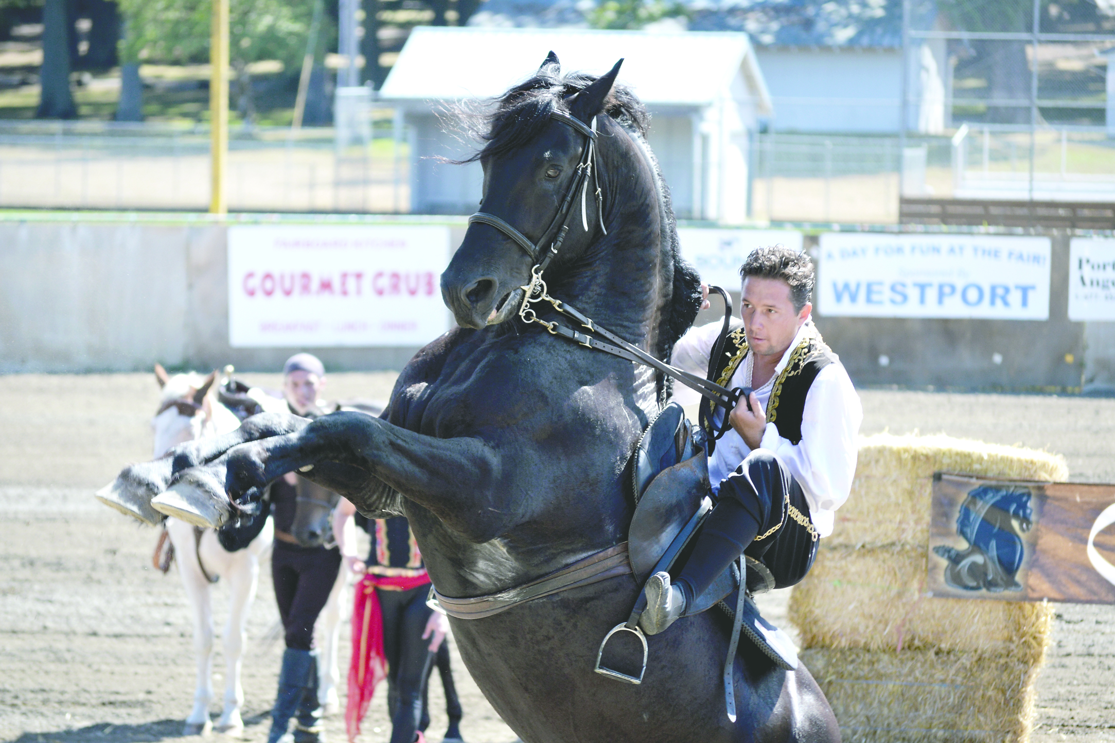 Olissio Zoppe of Sarasota