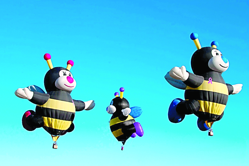 The Little Bee hot-air balloon team is shown at the Albuquerque