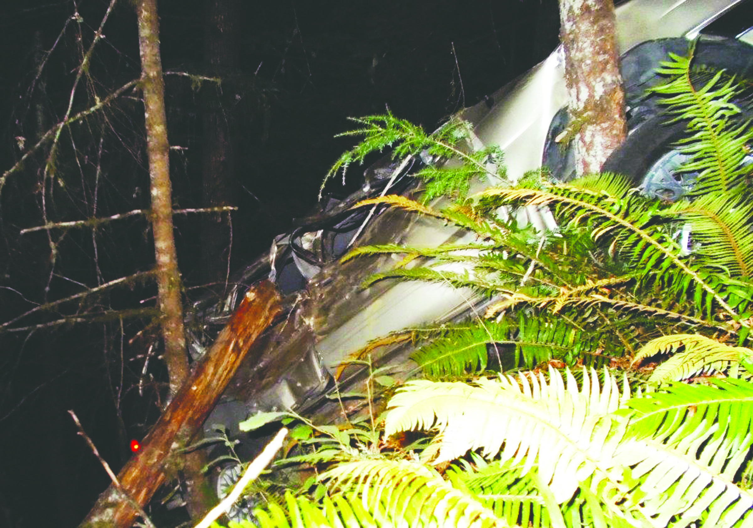 This Nissan Pathfinder left Little River Road southwest of Port Angeles early Sunday morning and traveled 25 feet down an embankment. — Clallam County Fire District No. 2