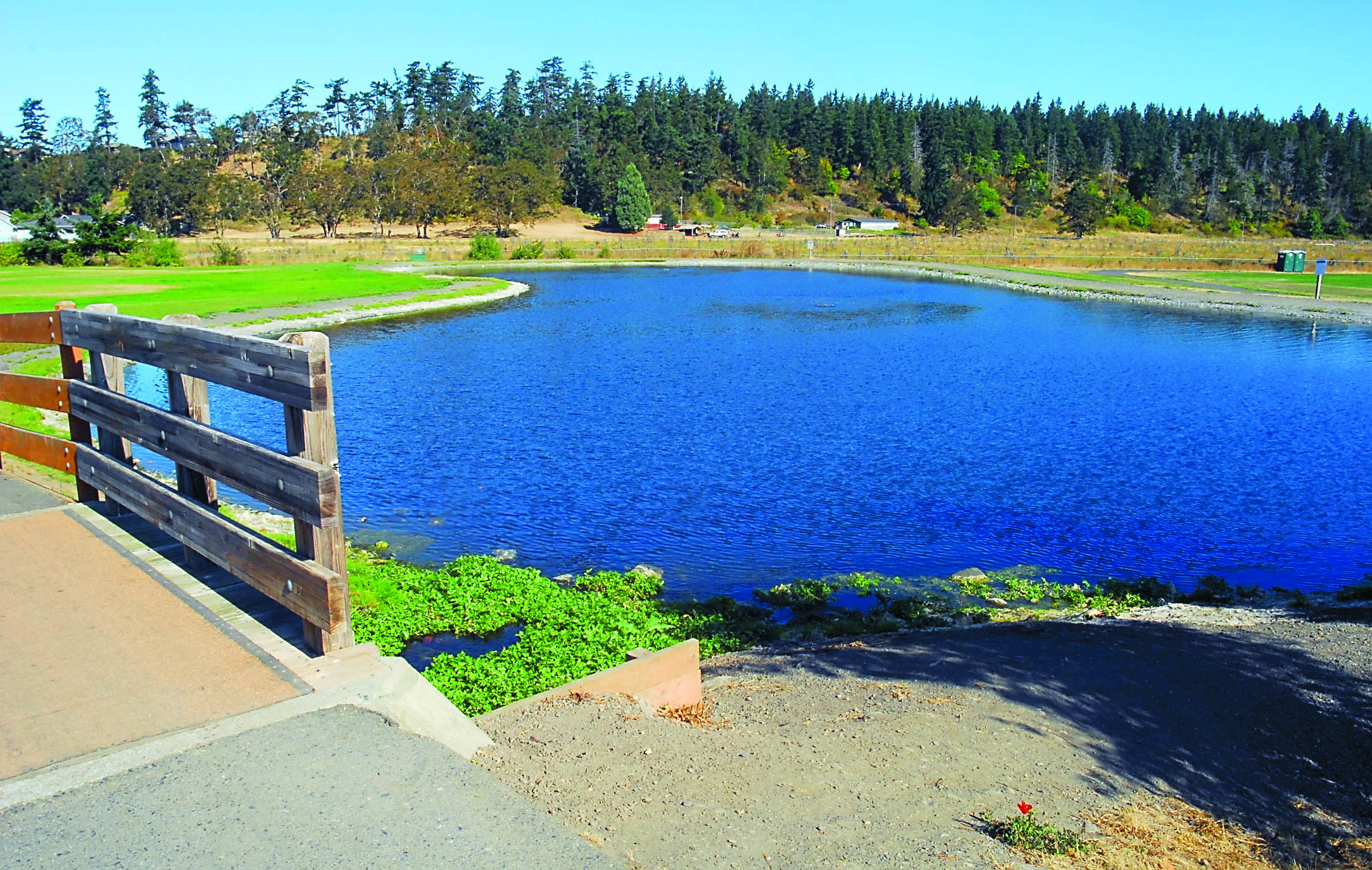 Sequim officials are considering a plan to reconfigure the water reclamation ponds such as this one at the Water Reuse Demonstration Park north of Sequim's Carrie Blake Park. Keith Thorpe/Peninsula Daily News