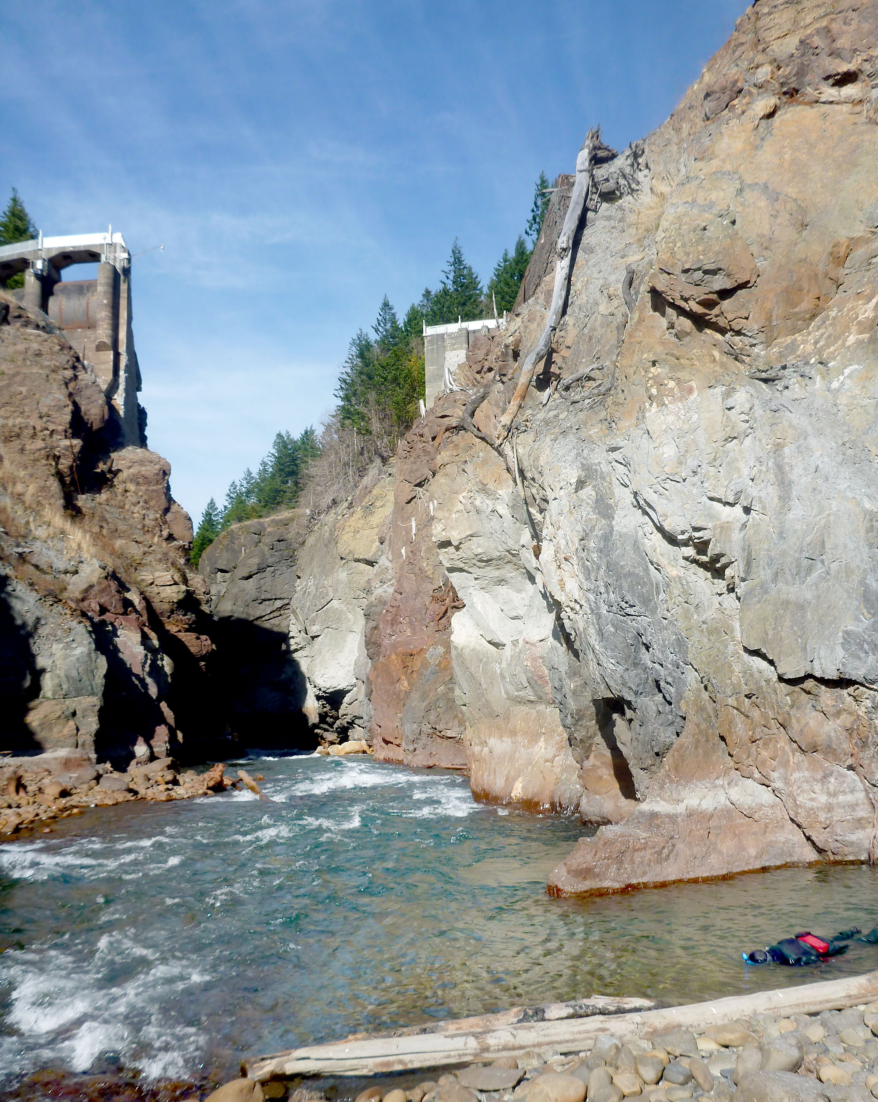 Olympic National Park biologist Heidi Hugunin