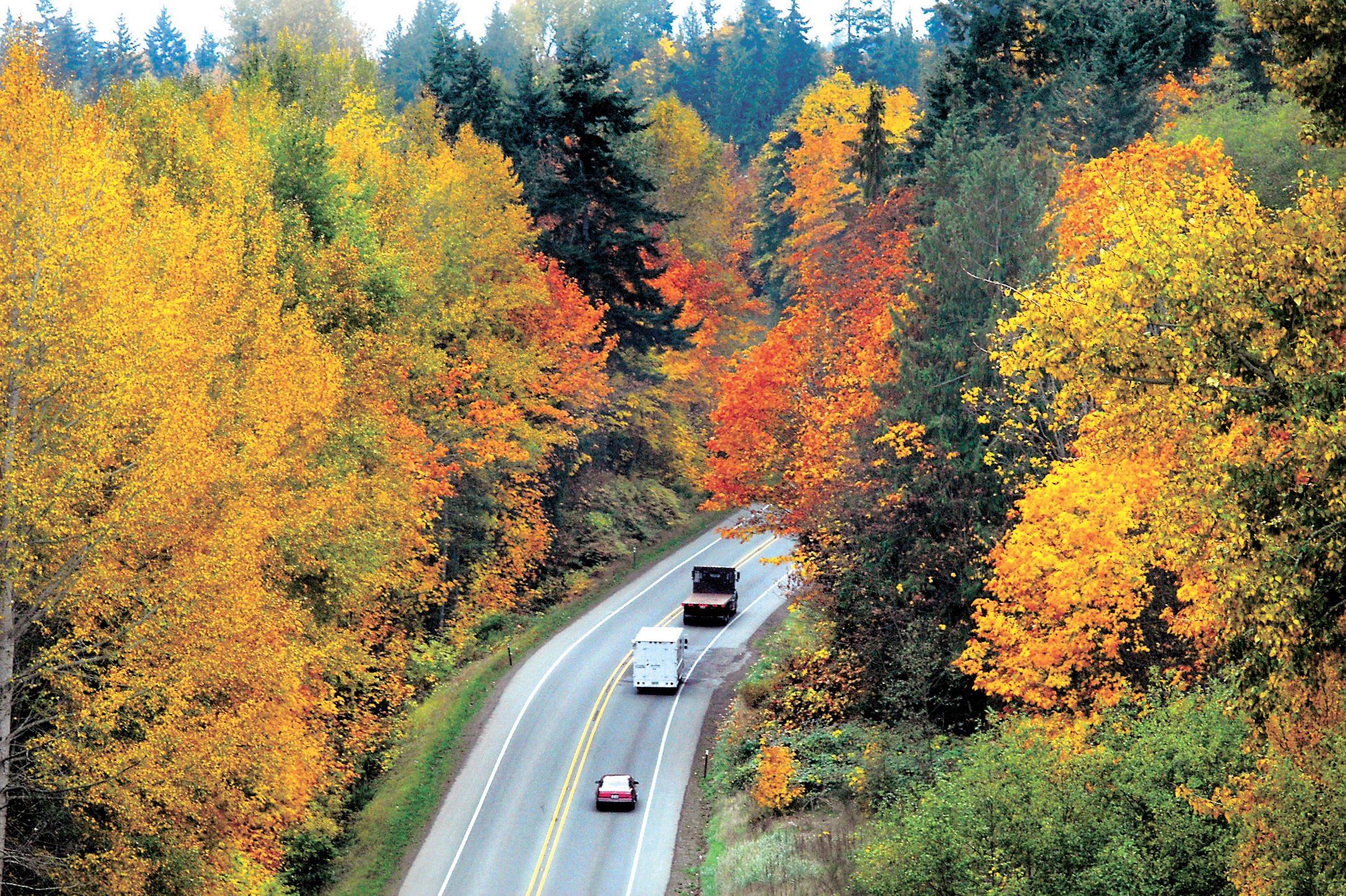 A line of traffic makes its way up Tumwater Truck Route through a riot of fall color in Port Angeles in 2009. Keith Thorpe/Peninsula Daily News