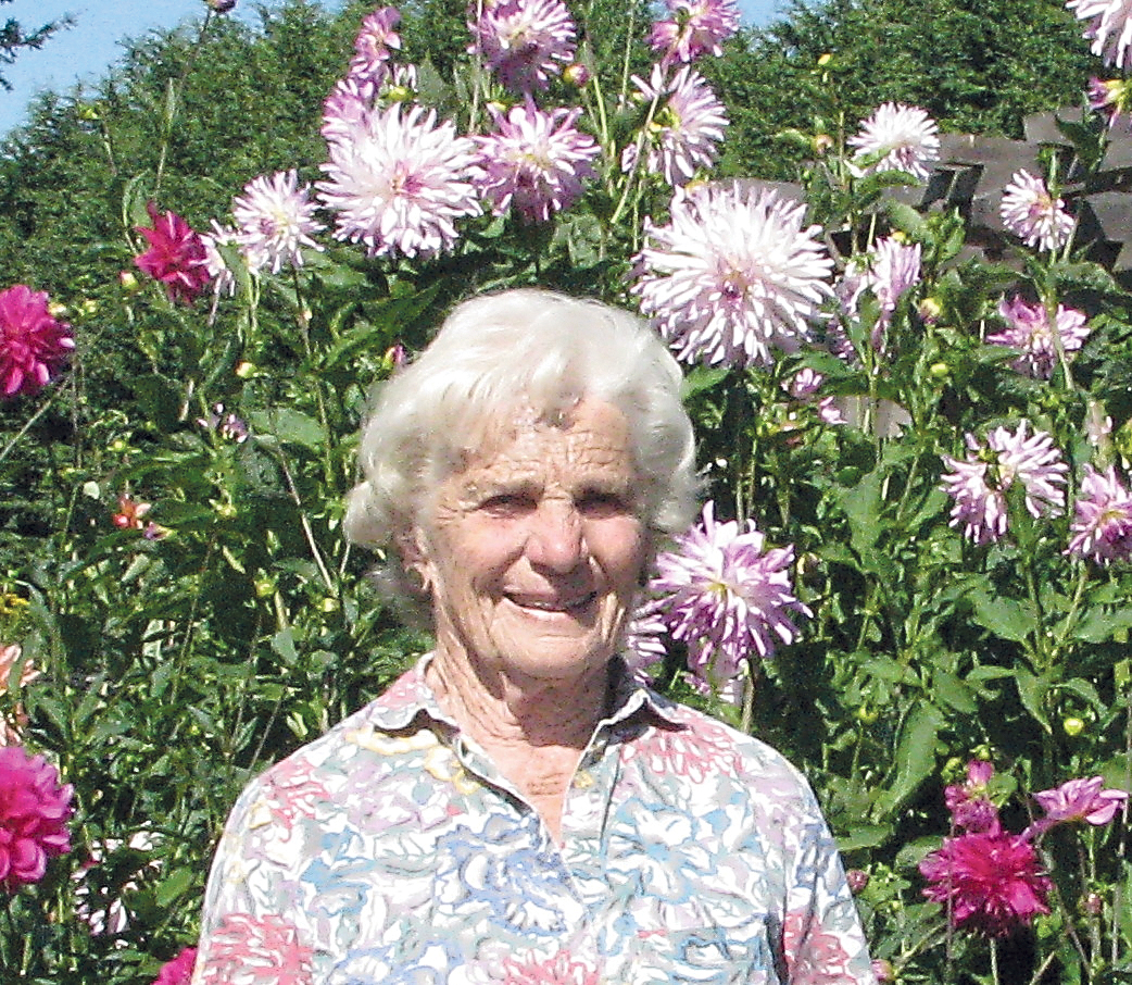 Veteran Master Gardener Betty Ashland will speak about dahlias at noon today. Amanda Rosenberg