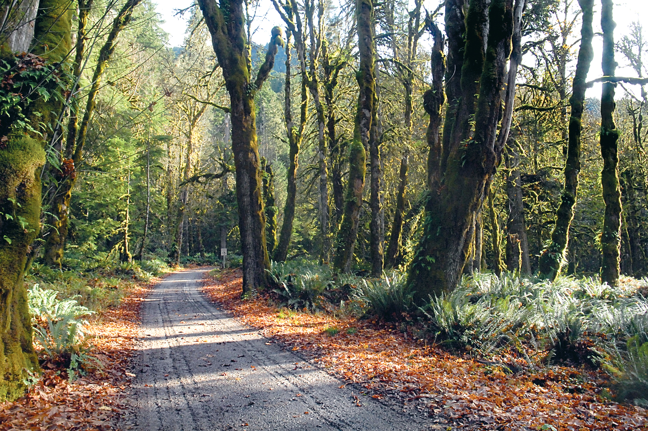 Keith Thorpe/Peninsula Daily News