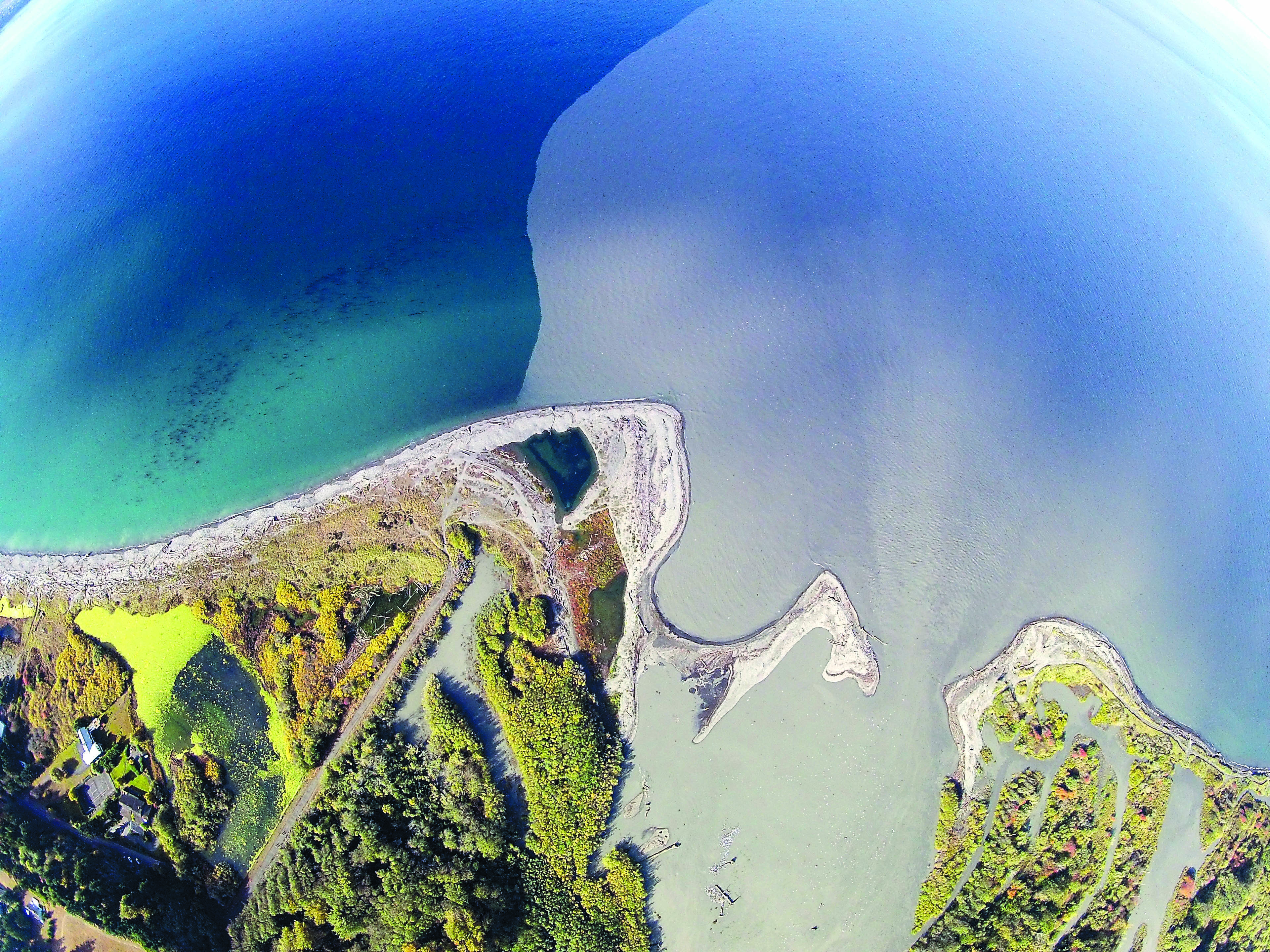 Sediment flows out the mouth of the Elwha River into the Strait of Juan de Fuca in this photo taken last Monday by Tom Roorda.