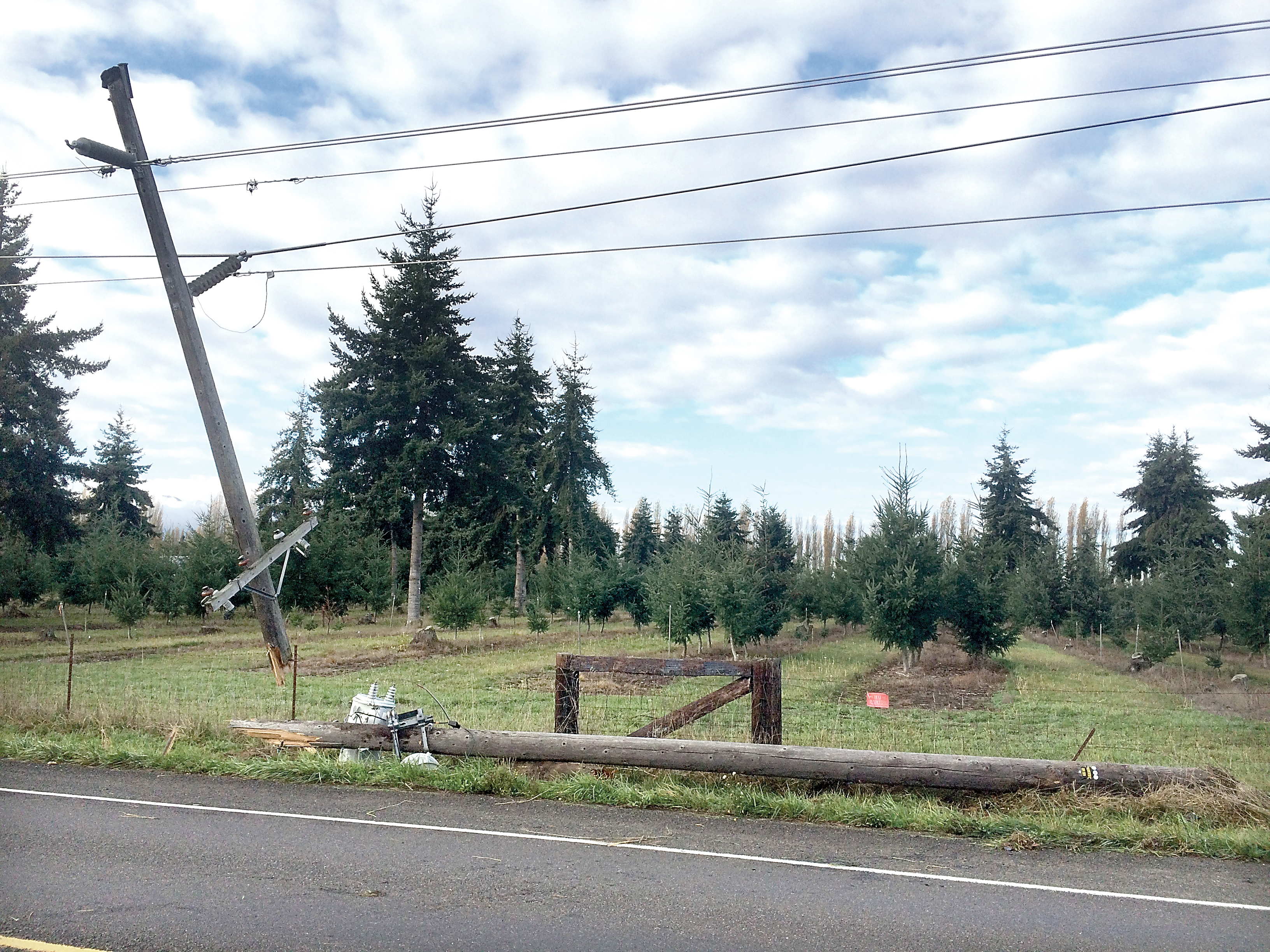 A head-on collision this morning sheared this power pole on Kitchen Dick Road near Sequim and caused an outage for more than 10
