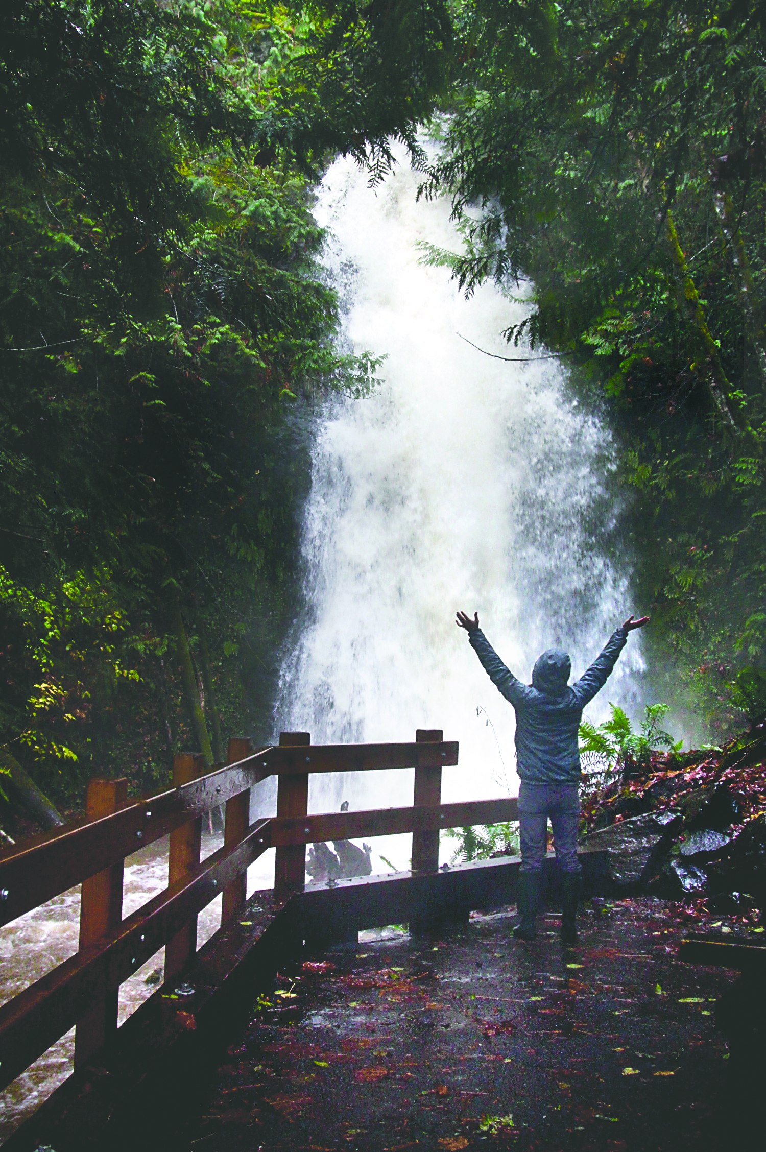 Mandy Miller of Port Angeles marvels at the volume of water going over Madison Falls on Friday morning at the park entrance near the Elwha River following the rainstorm that started Thursday. — Dave Logan/for Peninsula Daily News