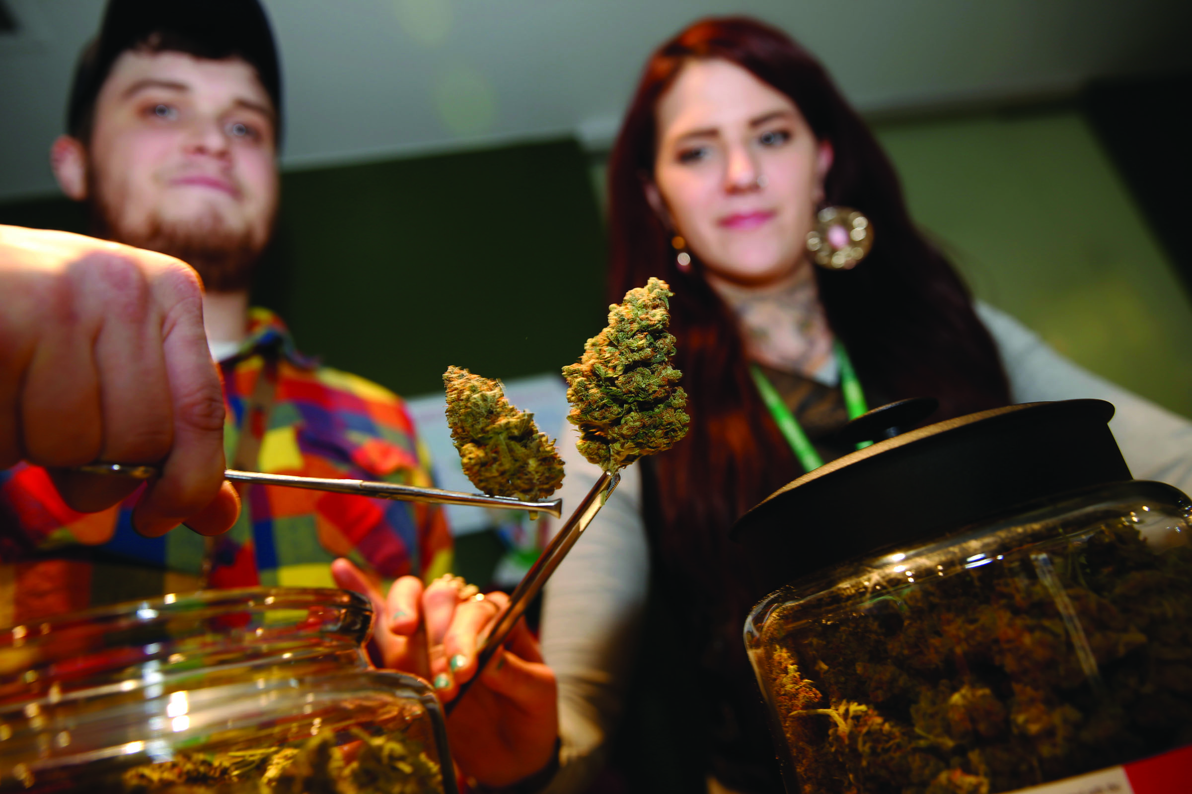 bud tenders Maxwell Bradford and Emma Attolini display buds in the shape of Christmas trees that are on sale for the holiday season in a recreational marijuana shop in northwest Denver. The nascent marijuana industry in Colorado is targeting holiday shoppers with special deals much like traditional retailers offer. — The Associated Press