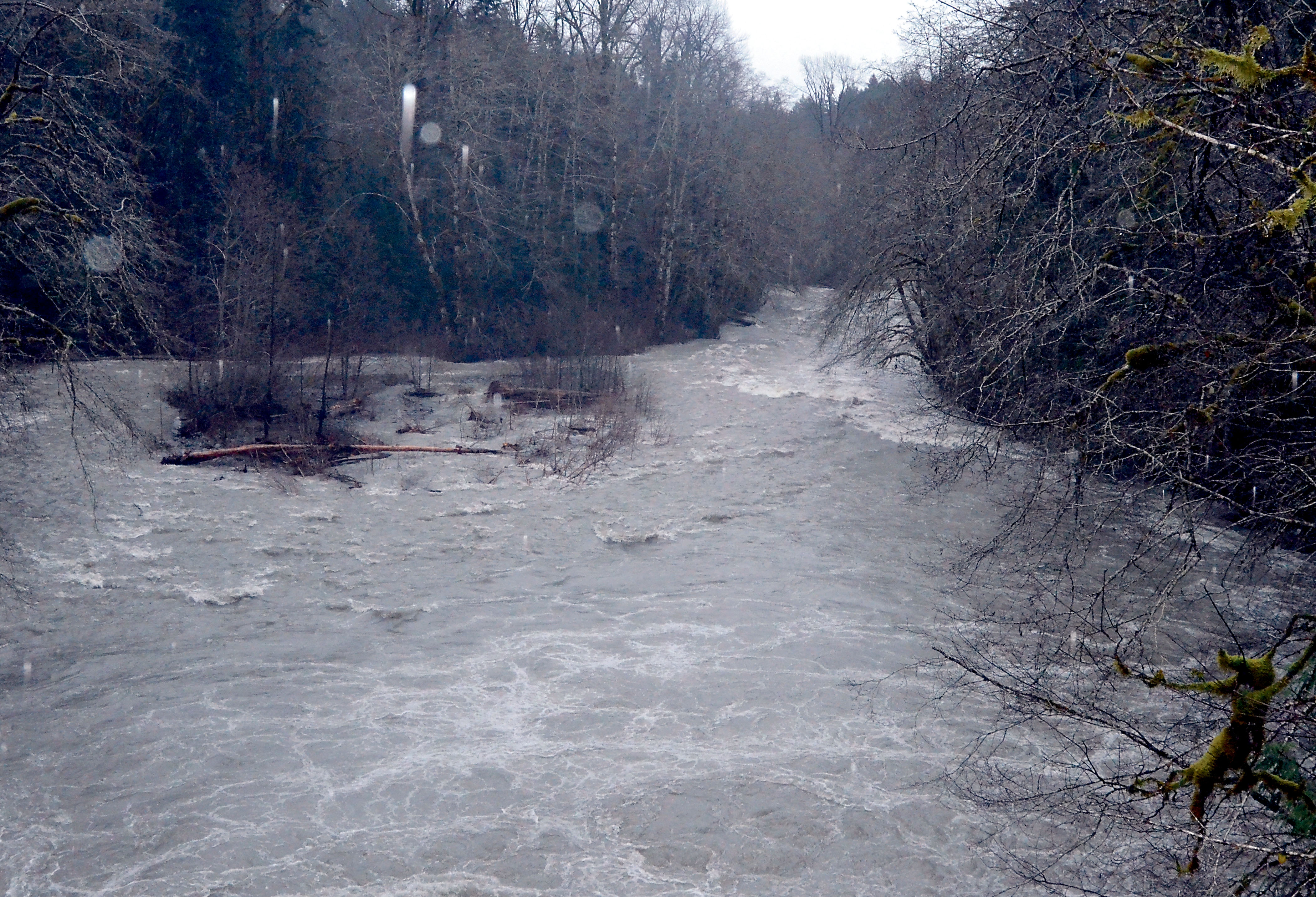 The Dosewallips River rages Thursday after the recent heavy rainfall. — Charlie Bermant/Peninsula Daily News