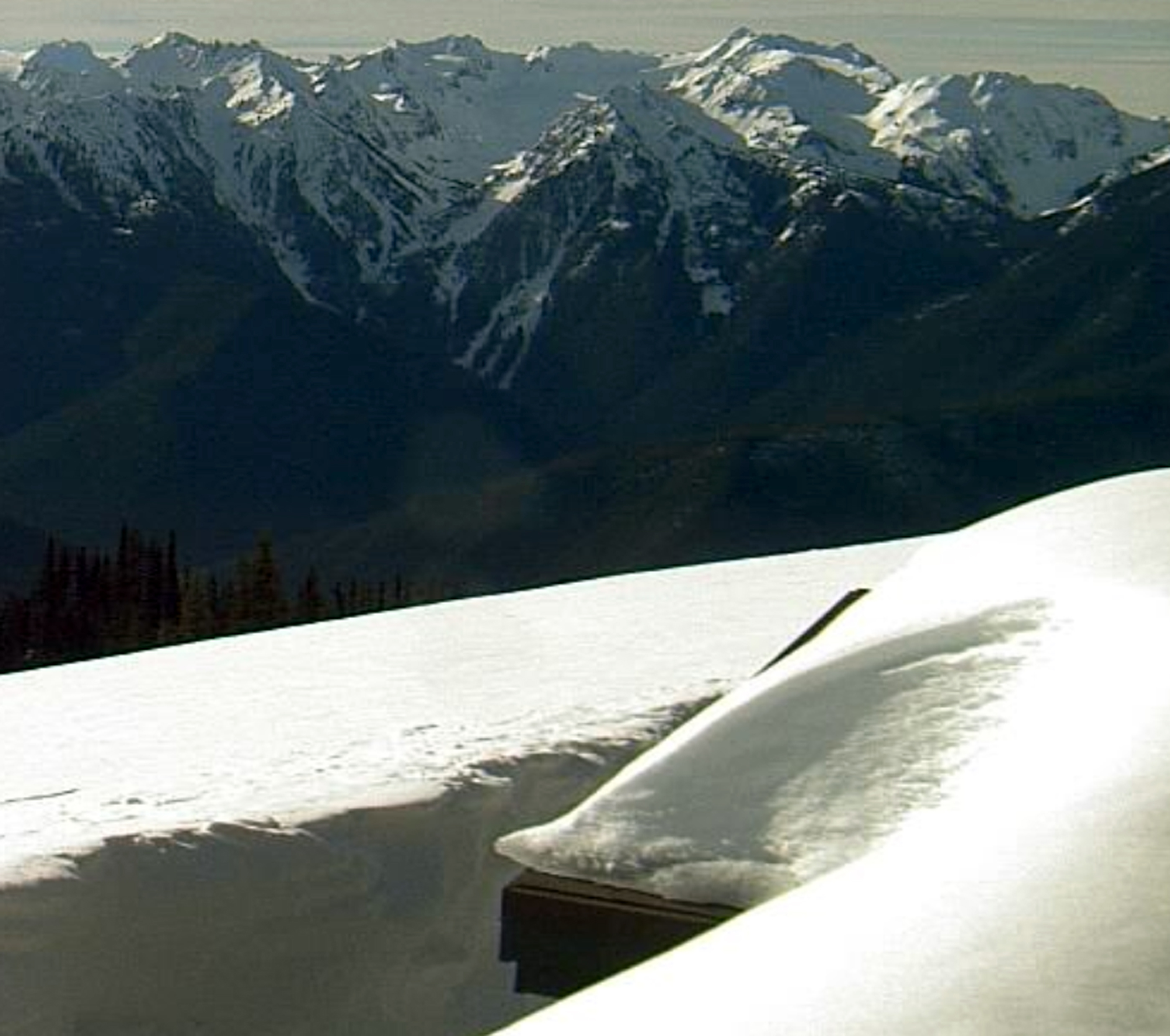 A view from the Hurricane Ridge webcam on the Olympic National Park website at http://www.nps.gov/olym/photosmultimedia/hurricane-ridge-webcam.htm.